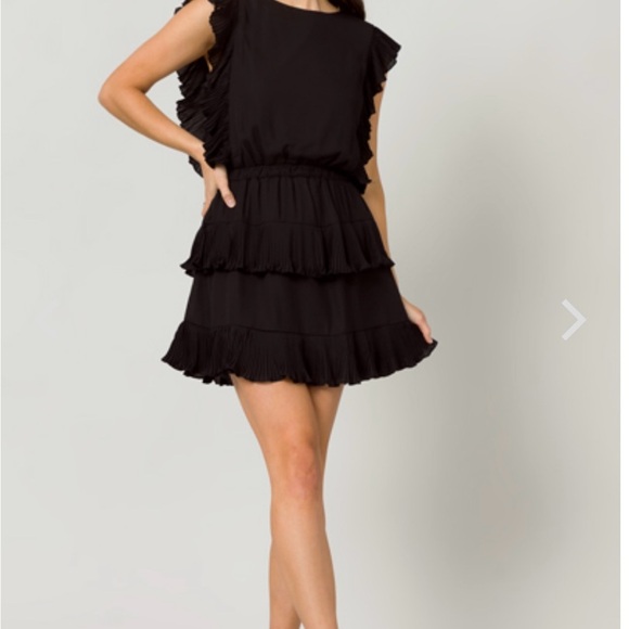 TCEC Black Ruffle Mini Dress - Picture 5 of 12